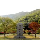 거금도여행은 거금생태숲, 거금도 청석오토캠핑장