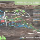 치유의숲 진입도로 이미지