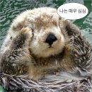고민경미용실 | 11ㅇㅜㅓㄹ