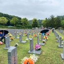 전몰군경유족회 서구지회 이미지