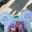 용인대박사백호태권도장 이미지