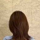 반포미용실 포레포레헤어 고속터미널점에서 밝은 염색을!