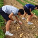 선도중학교 이미지