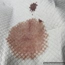 선부중앙동물의료센터 이미지