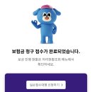 이니시스_비대면진료_1 | 솔닥 제로이드 크림 MD 비대면진료 실비청구 후기