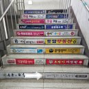 벨라 스킨 앤 바디 이미지