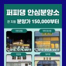 퍼피댕 강아지분양 안심분양소 청주점 말티푸미니비숑토이푸들 이미지