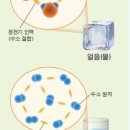 동화인력 이미지