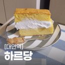 부산 경성대 맛집 :: 하르당 :: 카스테라 호두과자 붕어빵 대연