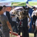 공존의 행복 이미지