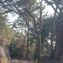 동고지 민박 이미지