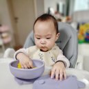 아띠슈 이미지