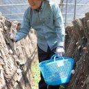 청림농원 이미지