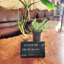 부산 장어덮밥, 김해 대동 바자라, 우나동 맛집, 일본인 사장님이 만드는 보양식, #내돈내산 후기