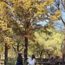 도봉 역사문화 길(6코스-도봉 옛 길) | 서울 도봉구 가볼만한곳 가을 감성 가득한 당일치기 여행코스 읽고 걷고 쓰는 인문 여행 (서울창포원...