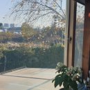 함께 꽃피우는 세상 이미지