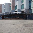 개떼목장