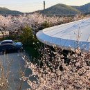 인천승마공원 이미지