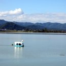 황금비늘 테마거리 이미지