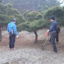 여주-0962 이미지