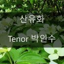 산에는꽃이피네 이미지