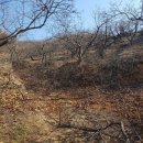 지업농장 이미지