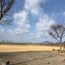 명례주유소 이미지