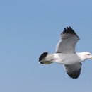 통영체육관 이미지