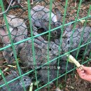 트리팜(TreeFarm) | 대구 팔공산 카페 '트리팜(Treefarm)' 다녀와 보았어요