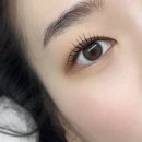 [후기] 쌩얼 10배 예뻐지는 법/ 불당동 속눈썹 프롬리즈 로뮤 👀
