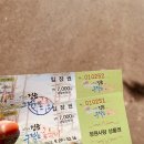 영농조합법인 정읍내장산도라지 | 함께하는 모닝 차박 이야기 (in 정읍 로하스캠핑장)