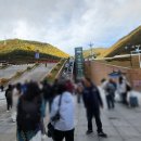 황룡택시 이미지