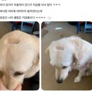 99 네이버블로그
