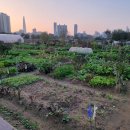 구민농장 이미지