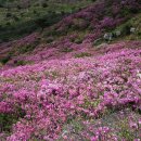 중화산1동-05(중화산1동 주민센터) | 2026 합천 반값여행 지원신청 방법 조건 확인하기 여행코스 추천