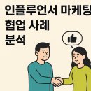 달시프로젝트 | 인플루언서 마케팅 협업 사례 분석