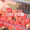 신안에서 자고 나라 최고의 품질! ✨신안 꾸지뽕!!💖