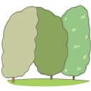 정시은부동산공인중개사사무소 이미지