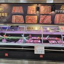 특별하개 이미지