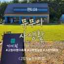 시즌 라벤더축제 리뷰; 고창청농원카페 &#34;카페청&#34; (feat. 기간 날짜, 주차, 후기, 입장료, 준비, 화장실)