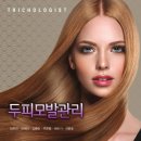 수막창 | [서산 두피케어 예천동 미용실] 정의선 실장 와이로헤어 디자이너 직접 시술 후기 100% 라이브