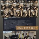 마일드핏