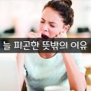 늘 피곤한 뜻밖의 이유 이미지