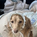 도곡15리 마을회관 이미지