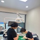 새로치과의원 이미지