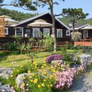 산과바다사이 이미지