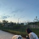 탐나종합어시장 고촌점