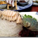 팔미초밥 이미지