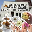 평택 공방 꽃차 원데이클래스 봄빛다락