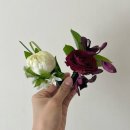 4627 | W.13 최강조합 베리굿웨딩 최윤지 부장+헤어변형 듀이이슬_스튜디오 촬영 후기